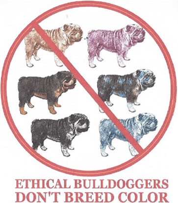 akc bulldog breeders